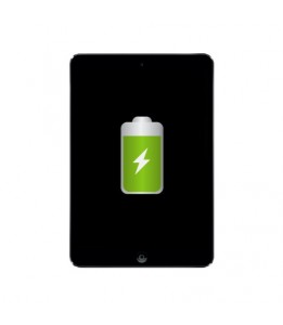 Réparation Apple iPad Mini 2 batterie (Réparation uniquement en magasin)